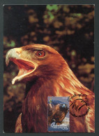 GIBRALTAR (2024) Carte Maximum Card - Birds Of Prey - Golden Eagle, Aquila Chrysaetus, Aigle Royal, Steinadler, Rapaces - Gibilterra