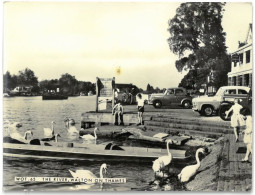 CPSM WALTON ON THAMES - The River - Surrey