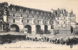 37-CHENONCEAUX-TROUPEAU DE MOUTONS ET BERGERE-N T6021-B/0233 - Chenonceaux