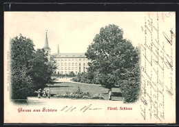 AK Schleiz, Blick Zum Fürstl. Schloss  - Schleiz