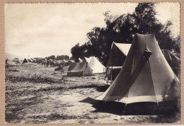 26968 / ⭐ ♥️ Rare MISANO Forli ADRIATICO Camping De Tentes 1950s Vera Fotografia  BROMOSTAMPA Milano - Forlì