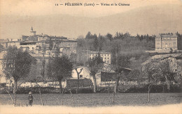 42-PELUSSIN-VIRIEU ET LE CHÂTEAU-N T6022-A/0121 - Pelussin