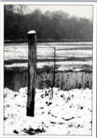 " Matin D'hiver.   "   -  Photo De Claude FAGÉ. 1984. Edité Par L'auteur - Photographs