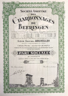 Charbonnages De Beeringen - UNC - 1949 - Part Social - Mijnen