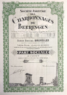 Charbonnages De Beeringen - UNC - 1949 - Part Social - Bergbau