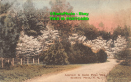 R424997 Approach To Cedar Pines Villa. Southern Pines. N. C. The Albertype. 1921 - World