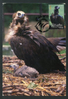 GIBRALTAR (2024) Carte Maximum Card - Birds Of Prey - Black Vulture, Coragyps Atratus, Urubu Noir, Rabengeier, Buitre - Gibraltar