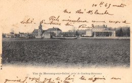 91-MORSANG SUR SEINE-N°6025-D/0143 - Morsang Sur Orge