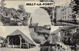 91-MILLY LA FORET-N°6025-F/0123 - Milly La Foret
