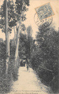 94-CHAMPIGNY SUR MARNE-CHEMIN DE L ECU DE France-N°6025-H/0323 - Champigny Sur Marne