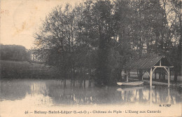 94-BOISSY SAINT LEGER-CHÂTEAU DU PIPLE-ETANG AUX CANARDS-N°6026-C/0173 - Boissy Saint Leger