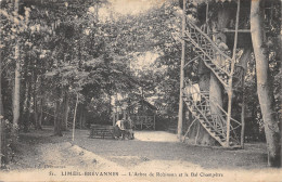 94-LIMEIL BREVANNES-ARBRE DE ROBINSON-N°6026-A/0393 - Limeil Brevannes
