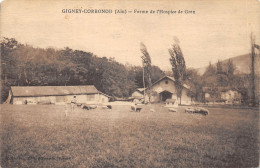 01-GIGNEY CORBONOD-FERME DE L HOSPICE DE GREX-N°6027-A/0007 - Non Classificati