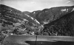 Belleydoux * La Vallée De La Semine , Vue De L'hôtel MERMET - Non Classés