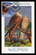 GIBRALTAR (2024) Carte Maximum Card - Birds Of Prey - Red Kite, Milvus Milvus, Milan Royal, Rotmilan, Milano Real - Gibraltar