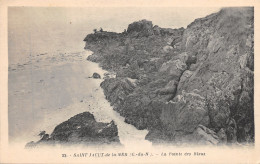 22-SAINT JACUT DE LA MER-LA POINTE DES BLEUS-N°6028-A/0189 - Saint-Jacut-de-la-Mer