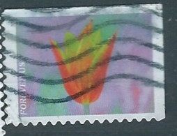 VEREINIGTE STAATEN ETATS UNIS USA 2021 GARDEN FLOWERS: ORANGE-YELLOW TULIP F USED SN 5559 MI 5792 YT 5401 - Used Stamps