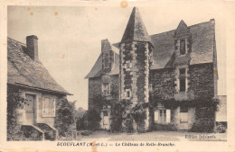 49-ECOUFLANT-CHATEAU DE BELLE BRANCHE-N°6029-B/0251 - Autres & Non Classés