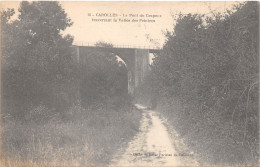 50-CAROLLES-PONT DU CRAPEUX-N°6029-C/0043 - Other & Unclassified