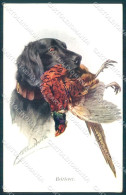 Animals Arthur Wardle Dog Retriever Hunting Pheasant Serie 42461 Postcard TW1353 - Andere & Zonder Classificatie