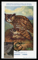 GIBRALTAR (2024) Carte Maximum Card - Birds Of Prey - Eagle Owl, Bubo Bubo, Hibou Grand-duc, Uhu, Búho Real - Gibilterra