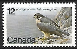 Canada - MNH ** 1978 :  Peregrine Falcon   - Falco Peregrinus - Eagles & Birds Of Prey