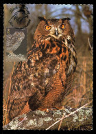 GIBRALTAR (2024) Carte Maximum Card - Birds Of Prey - Eagle Owl, Bubo Bubo, Hibou Grand-duc, Uhu, Búho Real - Gibilterra