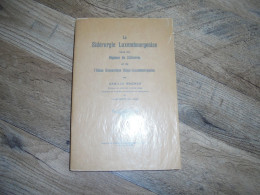 LA SIDERURGIE LUXEMBOURGEOISE SOUS LE REGIME DU ZOLLVEREIN  Régionalisme Industrie Forges Luxembourg Usine Métallurgie - Non Classés