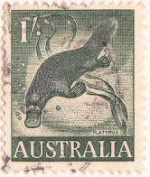 1959 - AUSTRALIA - FAUNA - ORNITORRINCO - YVERT 255 - Autres & Non Classés