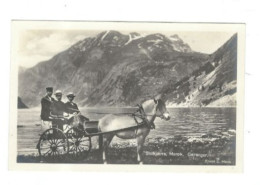 POSTCARD  HORSE AND  TRAP IN NORWAY - Chevaux