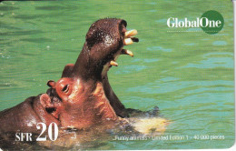 TARJETA DE SUIZA DE GLOBAL ONE DE UN HIPOPOTAMO (HIPPO) - Switzerland