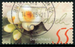 BRD 2004 Nr 2416 Zentrisch Gestempelt X6A5C4E - Used Stamps