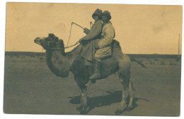 RUS 91 - 21610 Russia, KYRGYZSTAN, Ethnic Kirghiz With Camel - Old Postcard - Unused - Russia