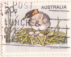 1978 - AUSTRALIA - AVES - ZAPULLIN COMUN - YVERT 637 - Altri & Non Classificati