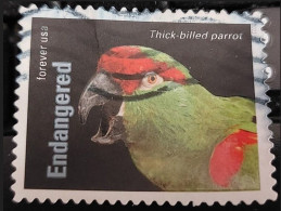 VEREINIGTE STAATEN ETATS UNIS USA 2023 ENDANGERED SPECIES: THICK-BILLED PARROT F USED SN 5799D - Usados