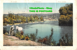 R425864 River Jordan. Postcard - Monde