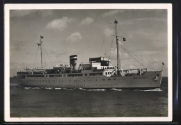 AK Passagierschiff MS Königin-Luise  - Piroscafi
