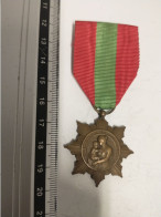 MEDAILLE MILITAIRE DECORATION FRANCE FAMILLES FRANCAISES PATRIE RECONNAISSANTE - Andere & Zonder Classificatie