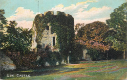 British Castles Architecture Usk Castle - Castillos