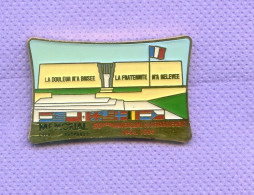 Gros Pins Armee Militaire 50 Anniversaire Debarquement Numéroté 668 I550 - Armee