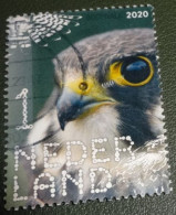 Nederland - NVPH - Xxxx - 2020 - Gebruikt - Beleef De Natuur - Boomvalk - Used Stamps