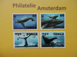 Tonga 1996, WWF FAUNA HUMPBACK WHALE: Mi 1400-03, ** - Unused Stamps