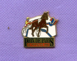 Superbe Pins Cheval Course Hippique Trot Prix De Paris 1992 Zamac Starpins I608 - Otros & Sin Clasificación