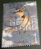 Nederland - NVPH - Xxxx - 2020 - Gebruikt - Beleef De Natuur - Strandplevier - Used Stamps