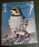 Nederland - NVPH - Xxxx - 2020 - Gebruikt - Beleef De Natuur - Strandleeuwerik - Used Stamps