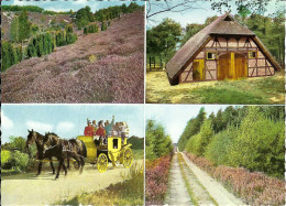 Lüneburger Heide, Schafstall, Postkutsche, Heideweg Und Wacholder, Gelaufen 1961 - Lüneburger Heide