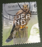 Nederland - NVPH - Xxxx - 2020 - Gebruikt - Beleef De Natuur - Torenvalk - Used Stamps