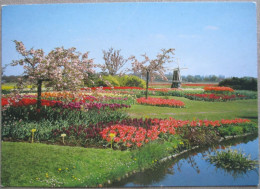 HOLLAND NETHERLAND LAND OF FLOWERS BLOEMENLAND POSTCARD CARTOLINA ANSICHTSKARTE CARTE POSTALE POSTKARTE CARD - Rotterdam