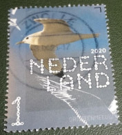 Nederland - NVPH - Xxxx - 2020 - Gebruikt - Beleef De Natuur - Drieteenmeeuw - Used Stamps