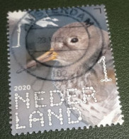 Nederland - NVPH - Xxxx - 2020 - Gebruikt - Beleef De Natuur - Paarse Strandloper - Used Stamps